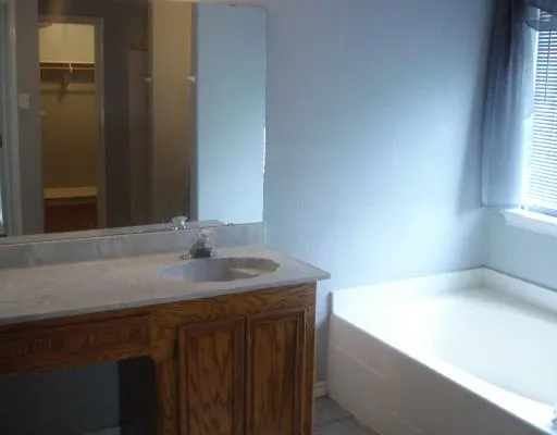 a bathroom with a sink and a bathtub