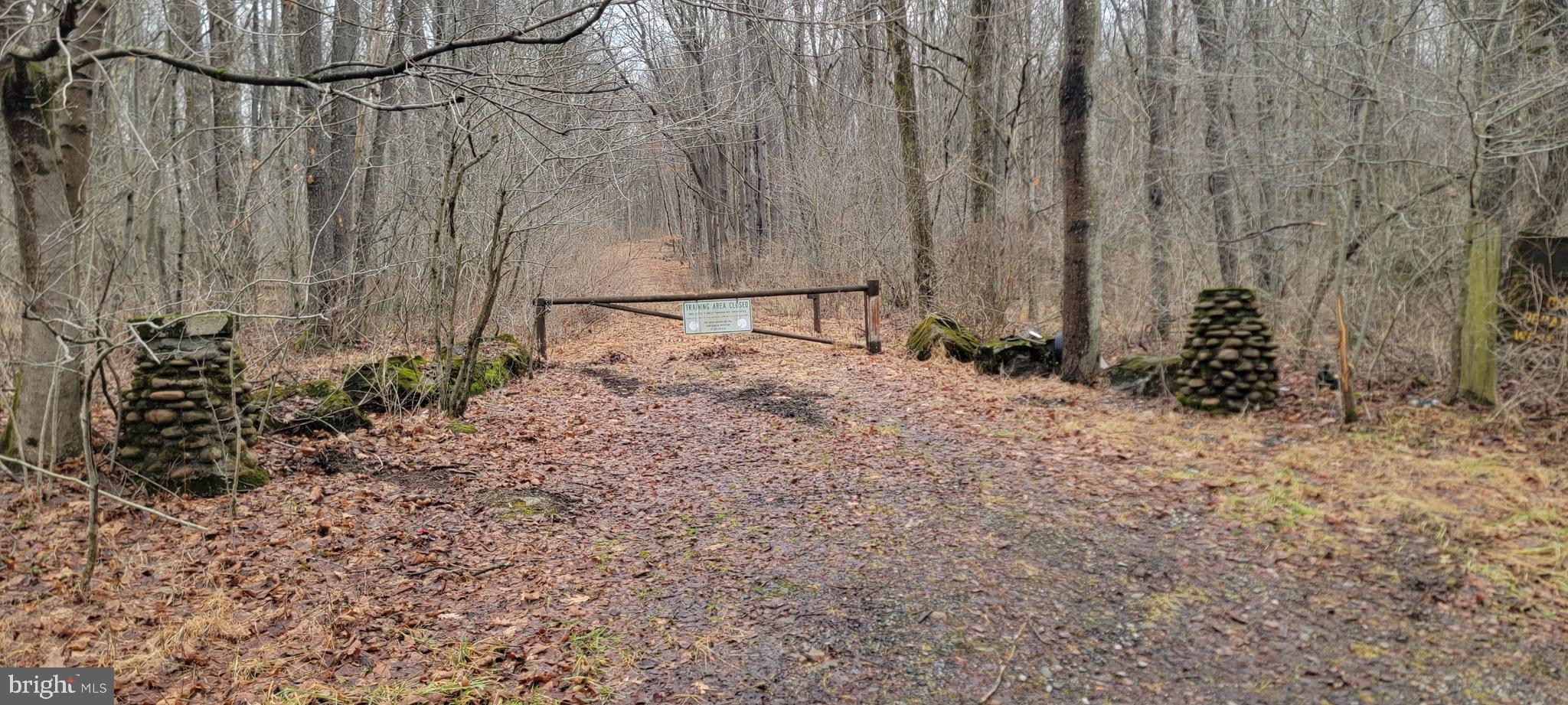 Camp Galilee Road Terra Alta, WV 26764 - Photo 2 of 40