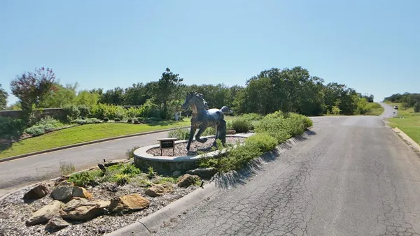 a view of a yard with a tree