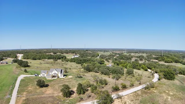 a view of a forest with trees in the background