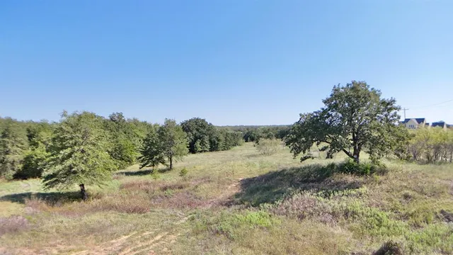 a view of a forest with trees in the background
