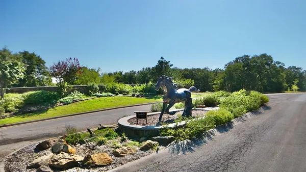 a view of a garden with plants and large trees