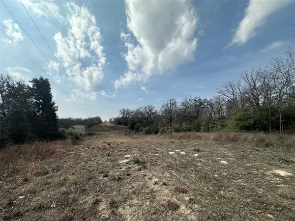 a view of a dry yard with trees