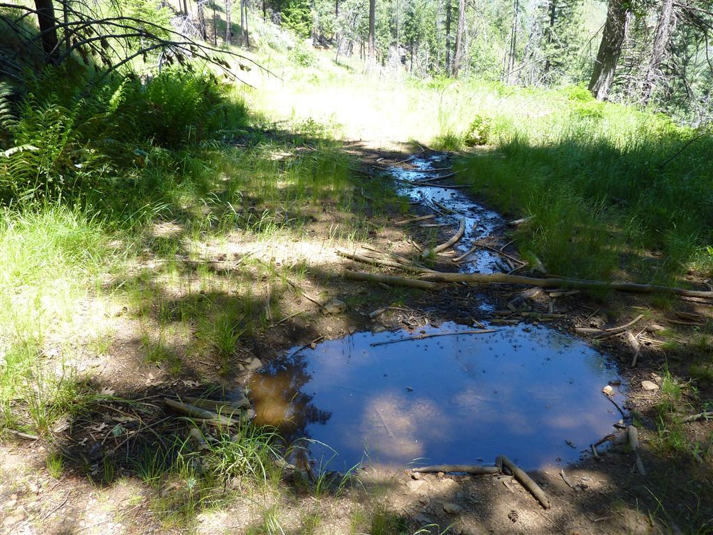 Duncan Creek Road Igo, CA 96047 - Photo 6 of 25 4