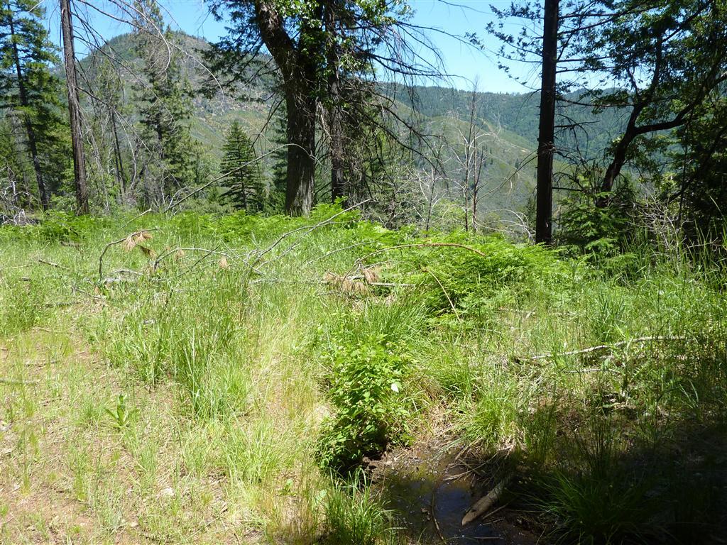Duncan Creek Road Igo, CA 96047 - Photo 8 of 25 6