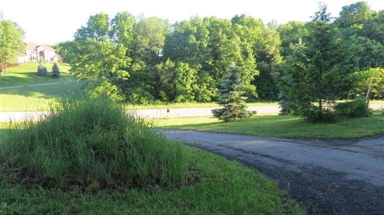 984 Ridge Court Chelsea, MI 48118 - Photo 3 of 18 Photo 3