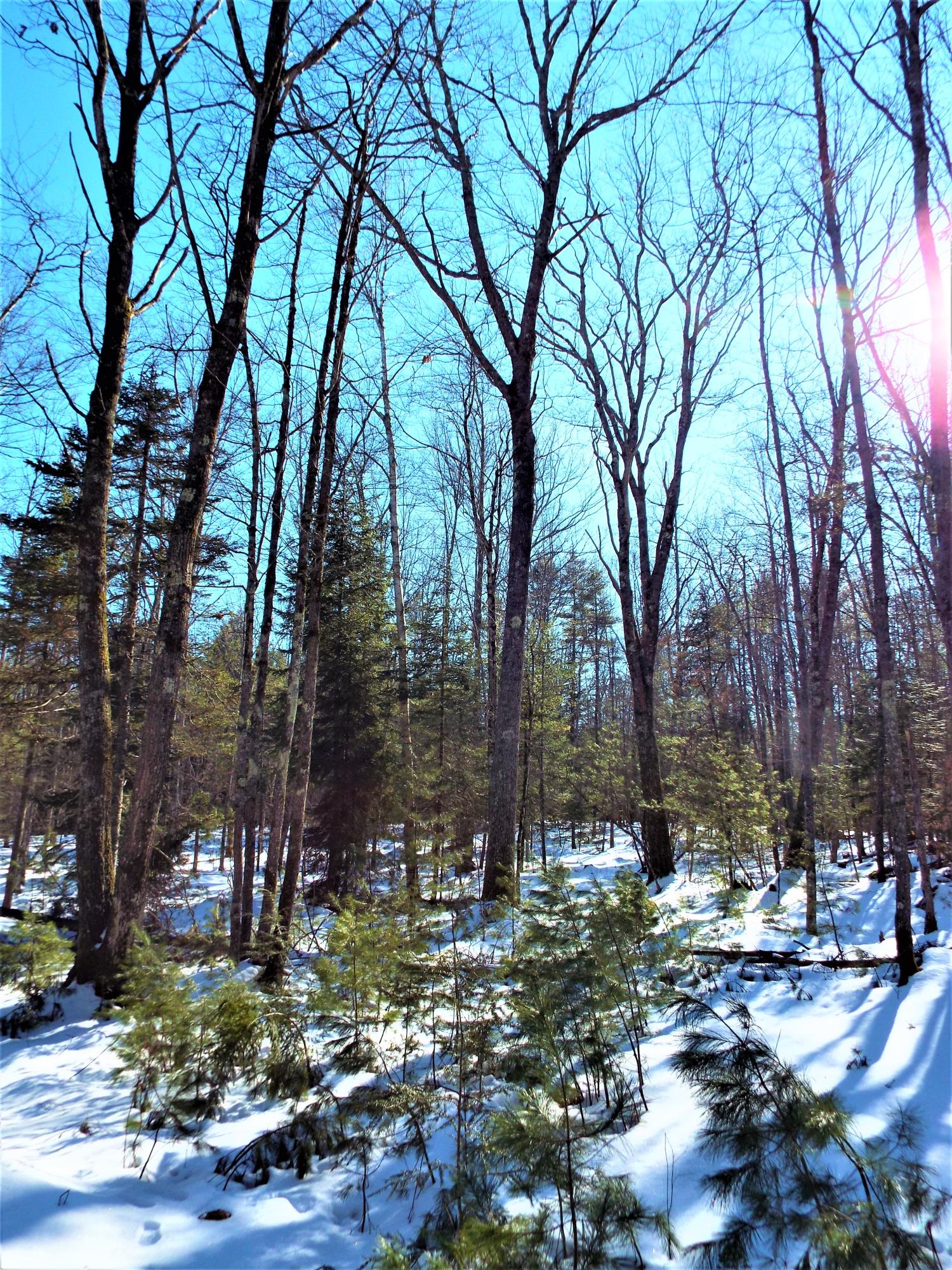 569 Middlesex Road Topsham, ME 04086 - Photo 11 of 17 11