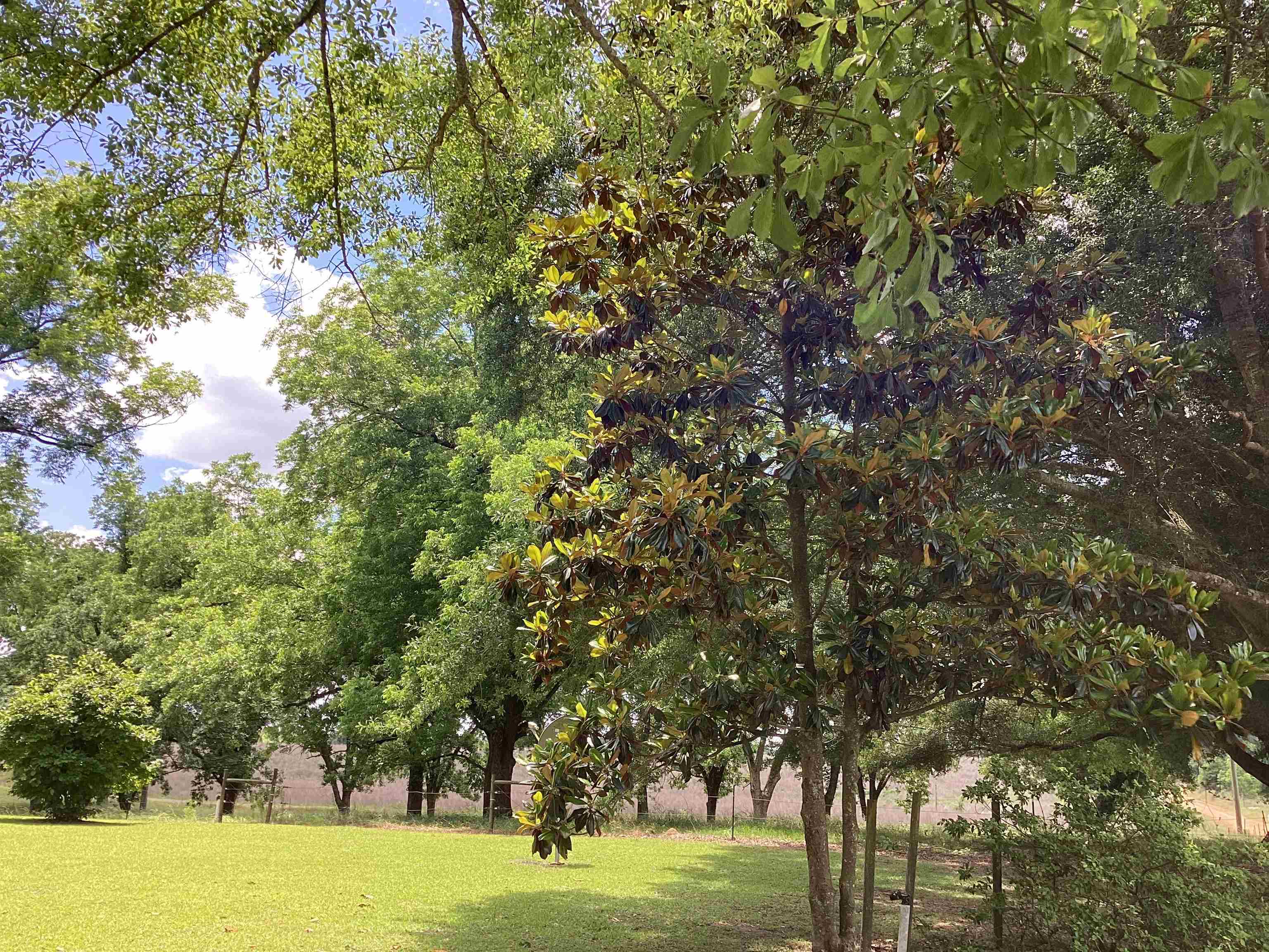1881 Swanner Bridge Road Rutledge, AL 36071 - Photo 2 of 35 Gallery Image 2