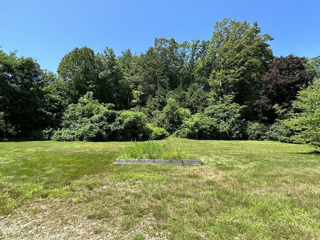 9 West Farms Road Northampton, MA 01062 - Photo 30 of 31 a view of a field with a tree