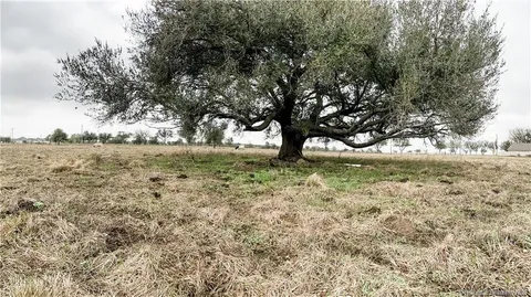 $75,000 | 0 Hwy 14 Highway, Iowa, LA 70647