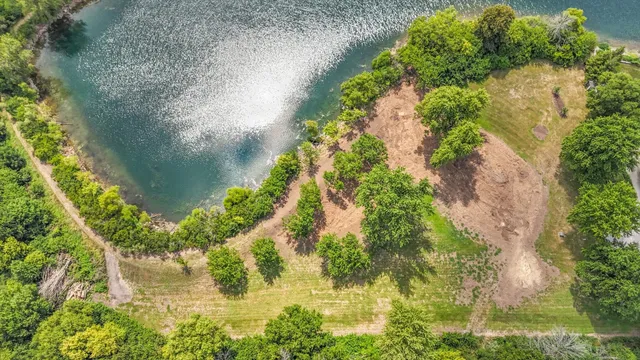 a view of outdoor space with garden and trees