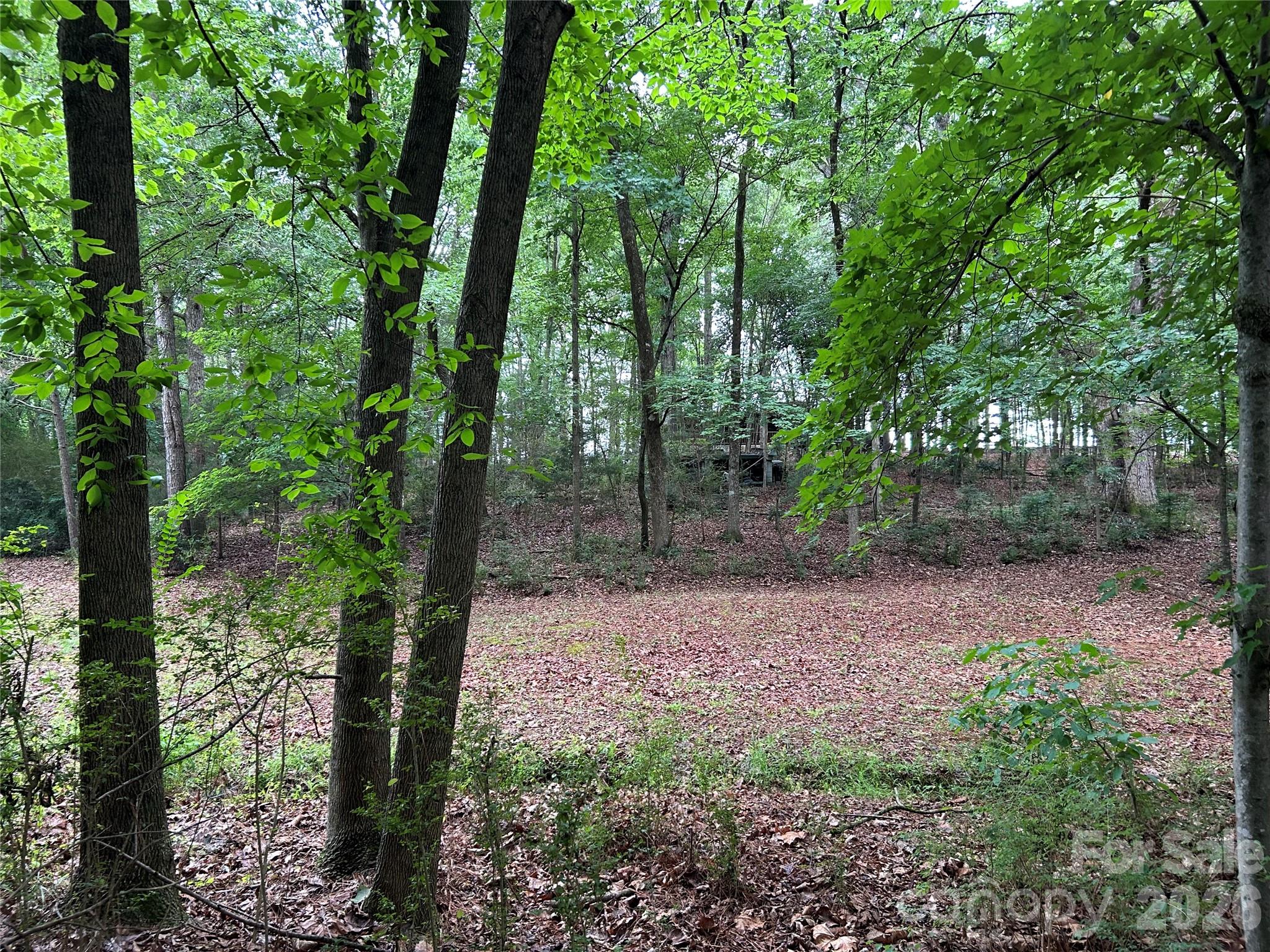 3909 Wightman Church Road Polkton, NC 28135 - Photo 46 of 48