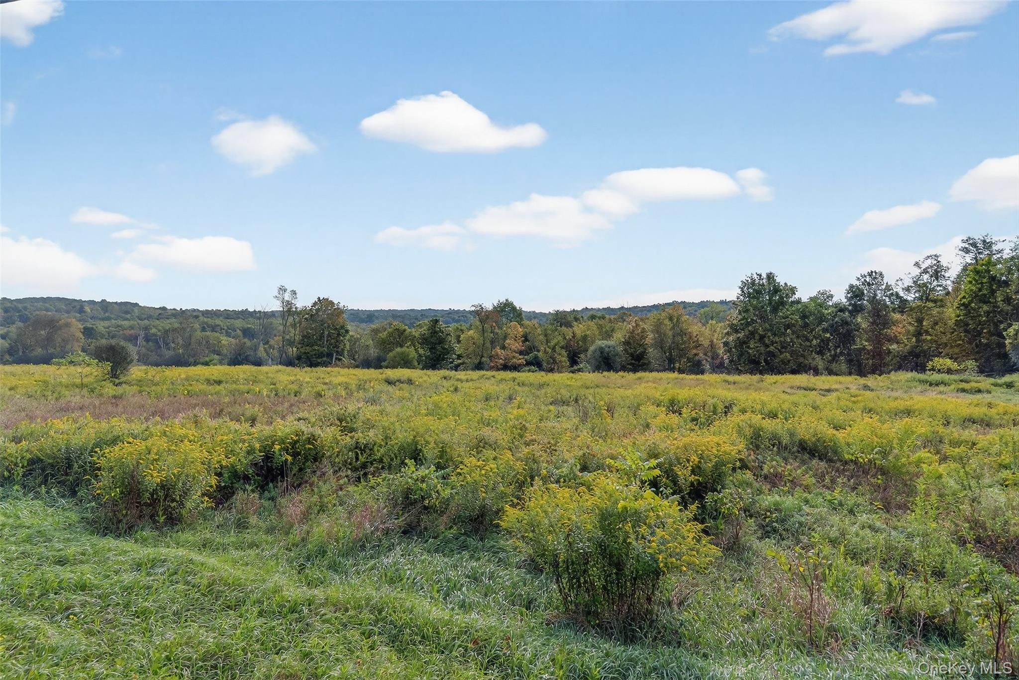 441 Scotchtown Collabar Road Middletown, NY 10941 - Photo 48 of 48 View of view of Highland Lakes State Parkland (across the street from home)