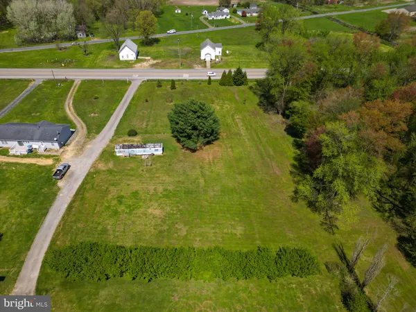a view of a swimming pool with a garden and trees