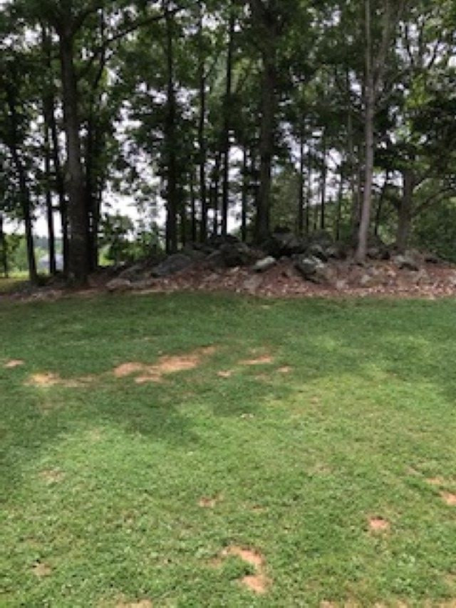 12516 Old Creedmoor Road Raleigh, NC 27613 - Photo 15 of 15 Photo 15