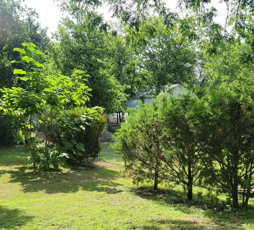 a view of a yard