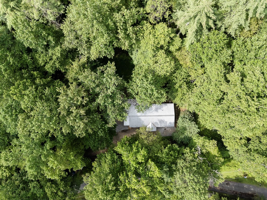 123 Quarry Road Andrews, NC 28901 - Photo 2 of 55