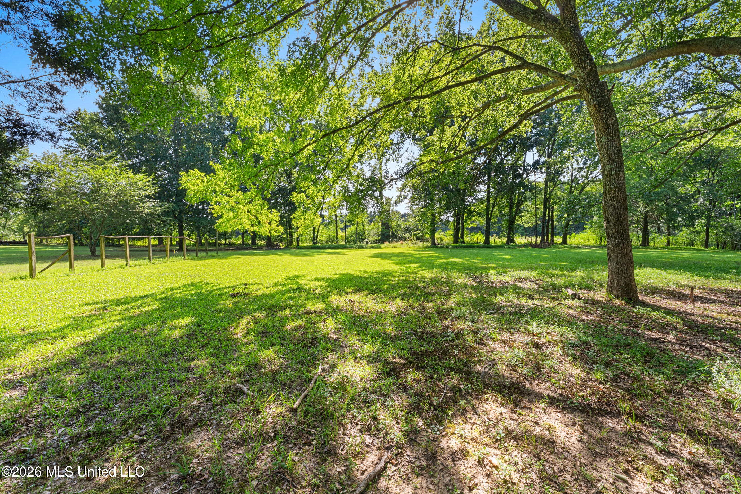 127 West Sweetwater Road Byhalia, MS 38611 - Photo 21 of 25 Back yard