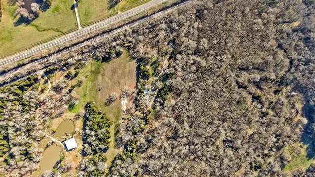 a close up of a plant