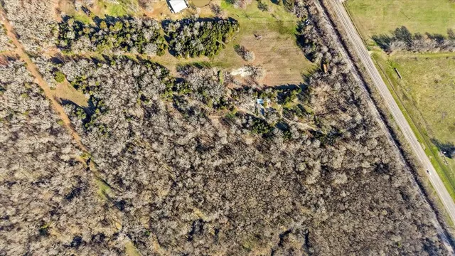 a view of a yard with a plant