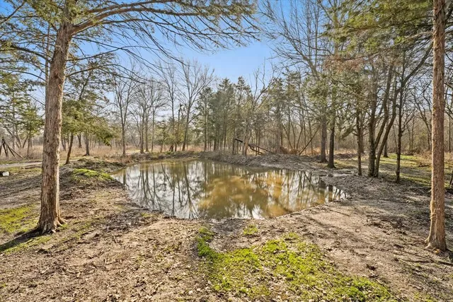 a view of yard and trees