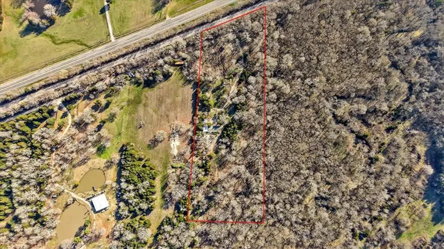 a close up of a plant