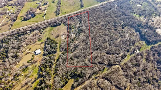 a view of a yard with a plant