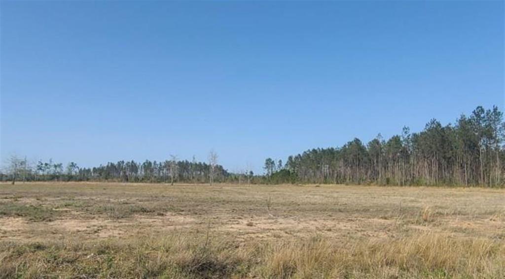 9 Miller Road Dequincy, LA 70633 - Photo 1 of 1 Gallery Image 1