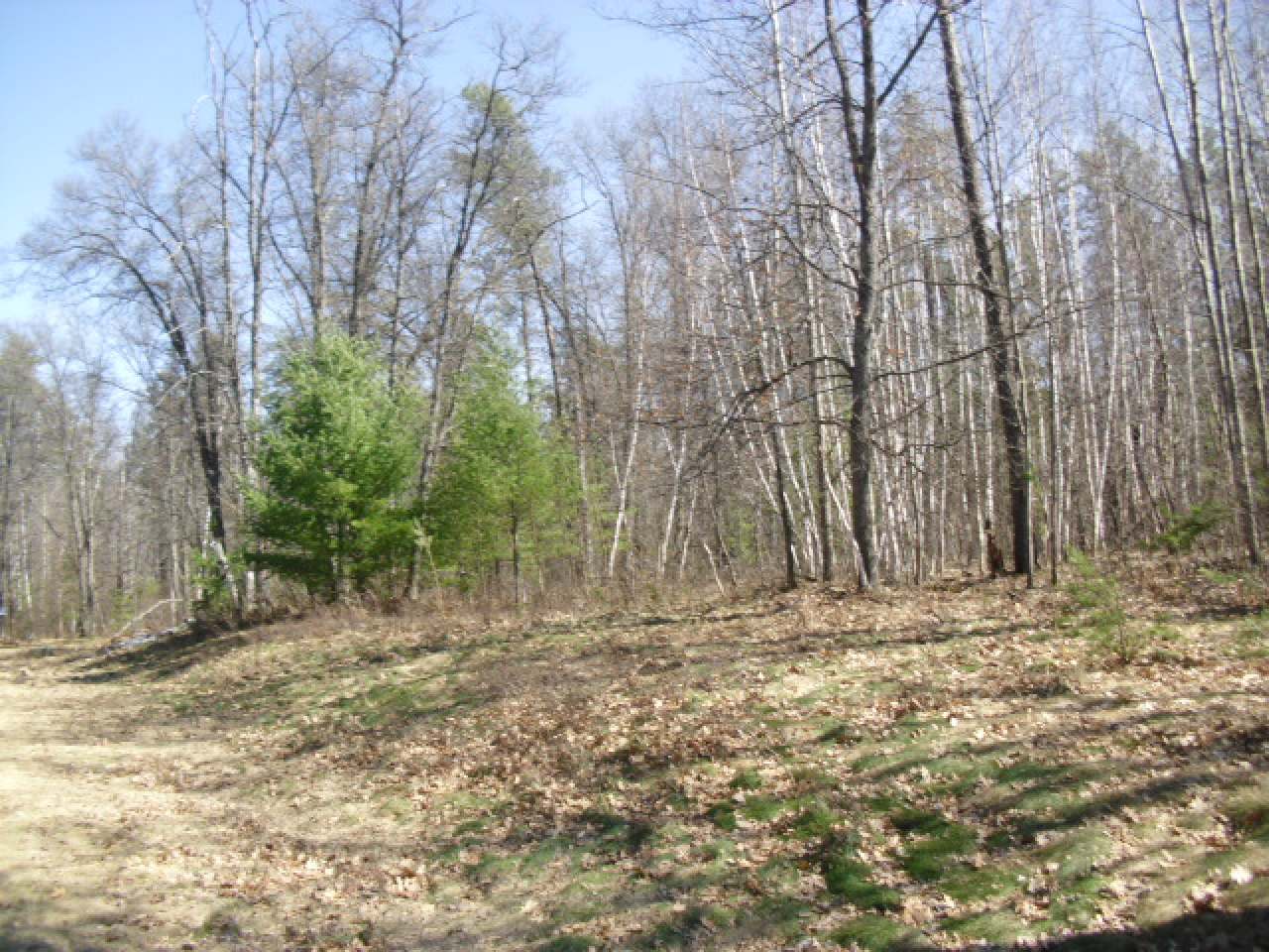 Lot 11 Wind Song Road Tomahawk, WI 54487 - Photo 13 of 13 Gallery Image 13