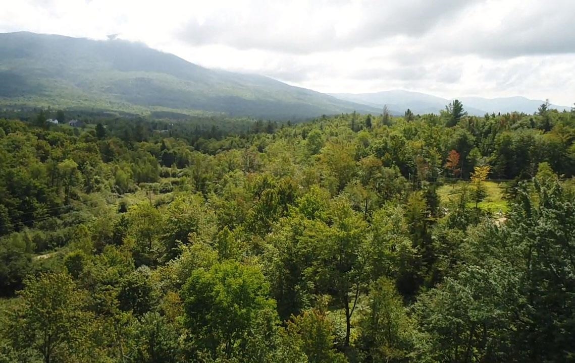 Tbd Moody Road, Unit LOTS 2 & 3 Lincoln, VT 05443 - Photo 12 of 12 Gallery Image 12