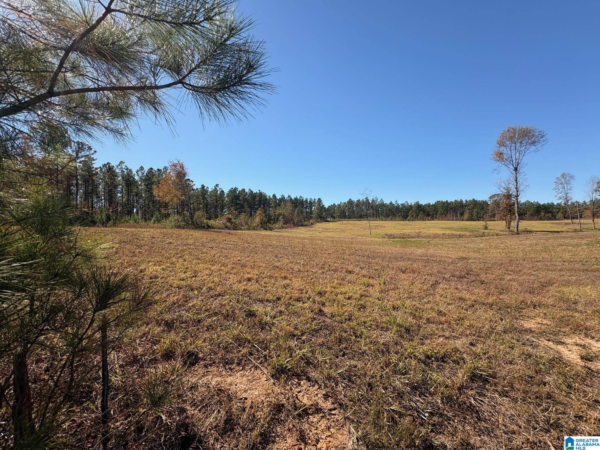 3679 Chelsea Road, Unit 2 Columbiana, AL 35051 - Photo 5 of 13