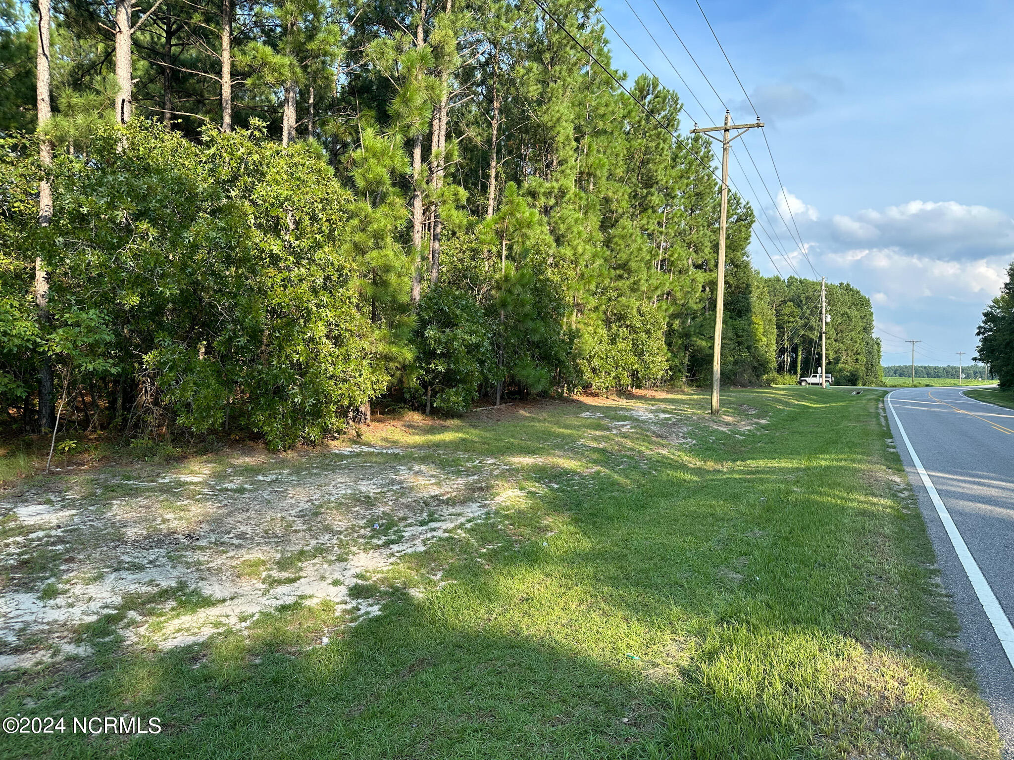 Tbd Davis Bridge Road Parkton, NC 28371 - Photo 23 of 26 IMG_3810