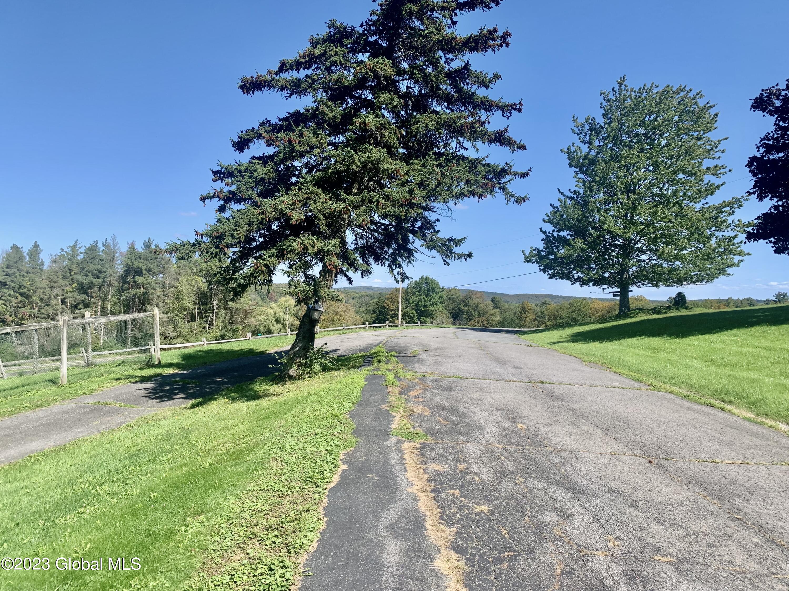 217 Goodfellow Road Westerlo, NY 12193 - Photo 23 of 35 217 goodfellow driveway