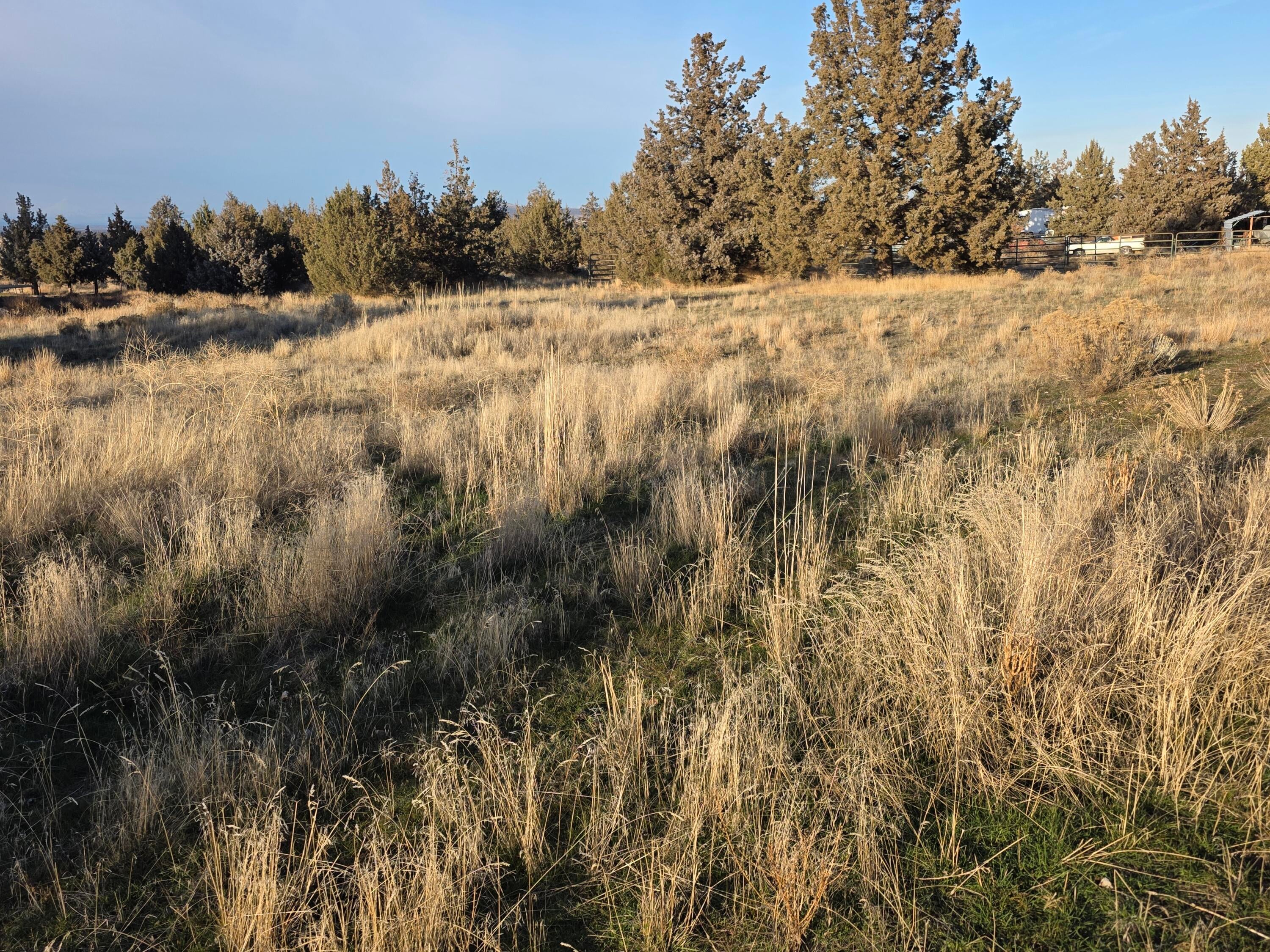 10220 Southwest Ruth Drive Culver, OR 97734 - Photo 26 of 28 4696