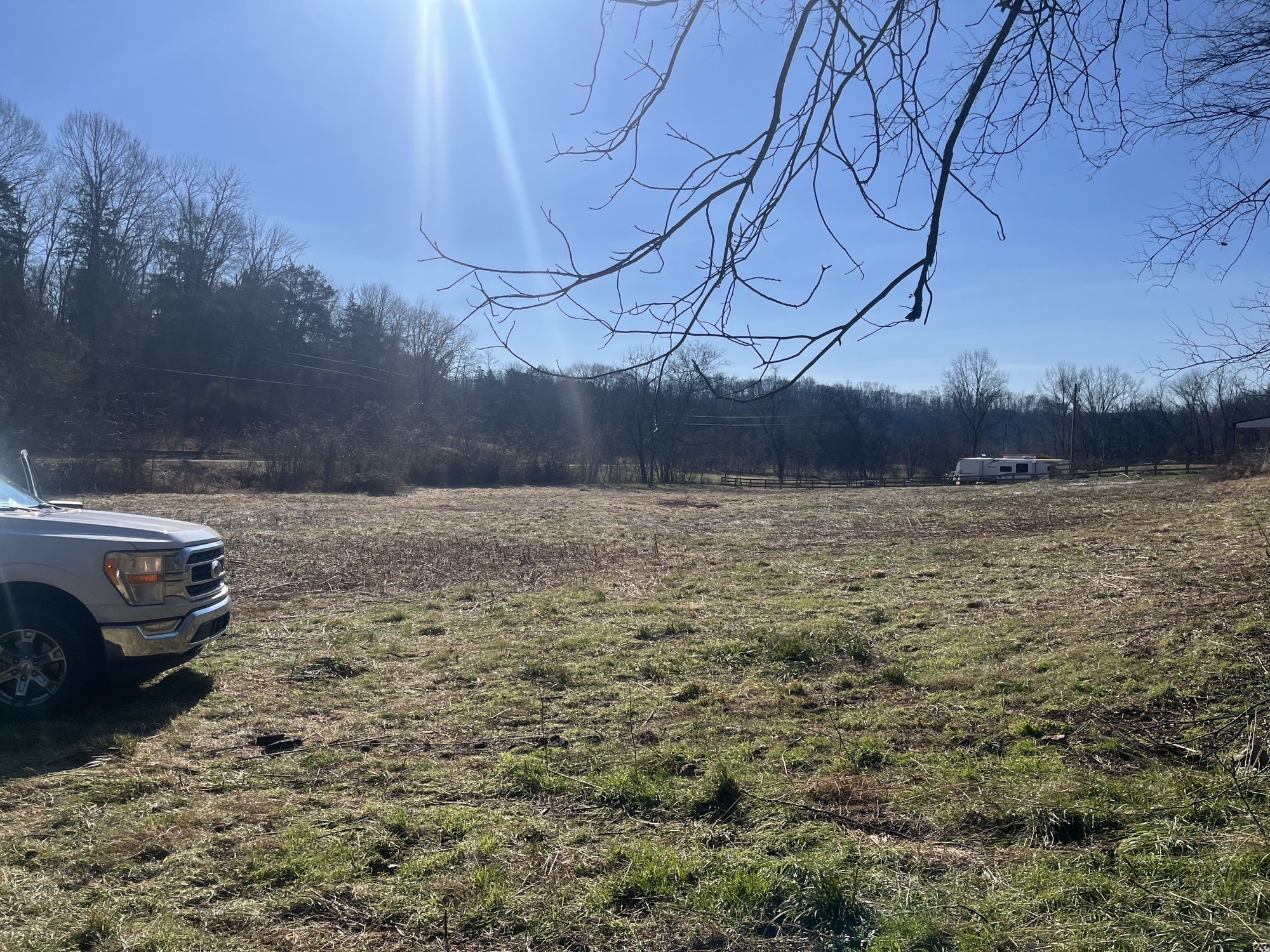 0 Cathcart Road Frankewing, TN 38459 - Photo 11 of 21 a view of a yard
