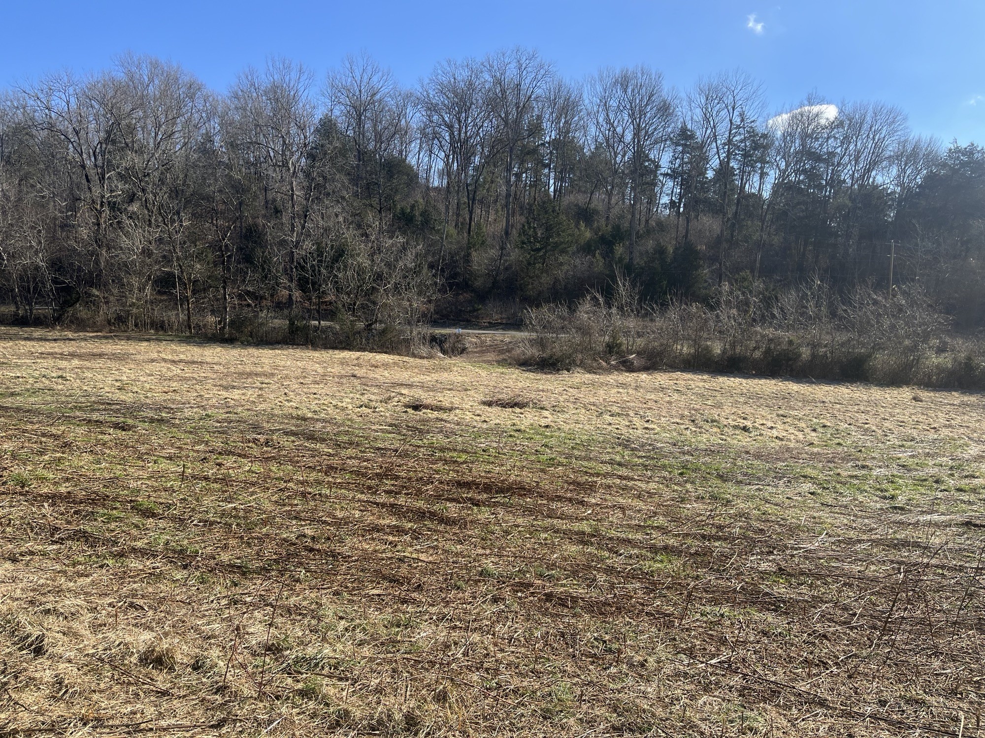 0 Cathcart Road Frankewing, TN 38459 - Photo 12 of 21 a view of ocean view with mountain