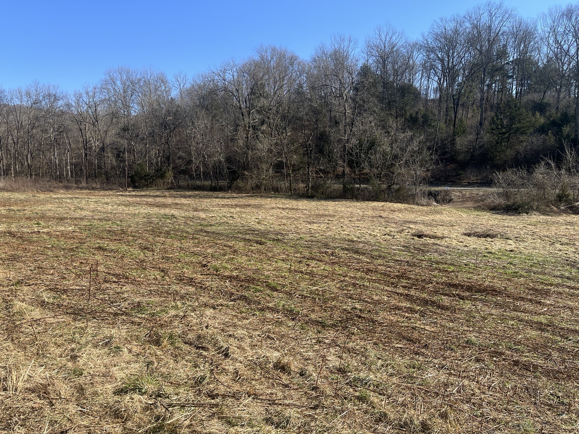 0 Cathcart Road Frankewing, TN 38459 - Photo 13 of 21 a view of a yard with trees
