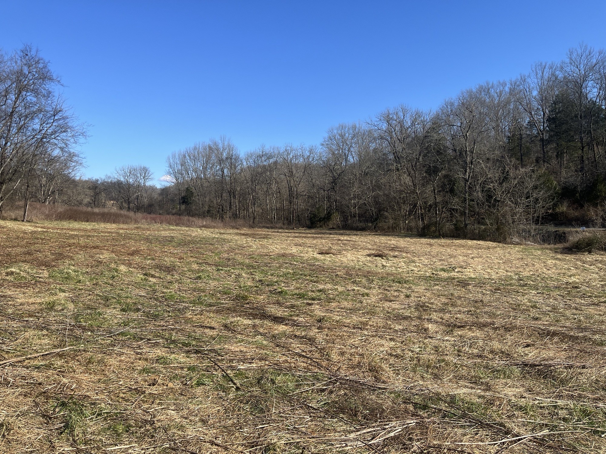 0 Cathcart Road Frankewing, TN 38459 - Photo 14 of 21 a view of outdoor space with swimming pool and trees