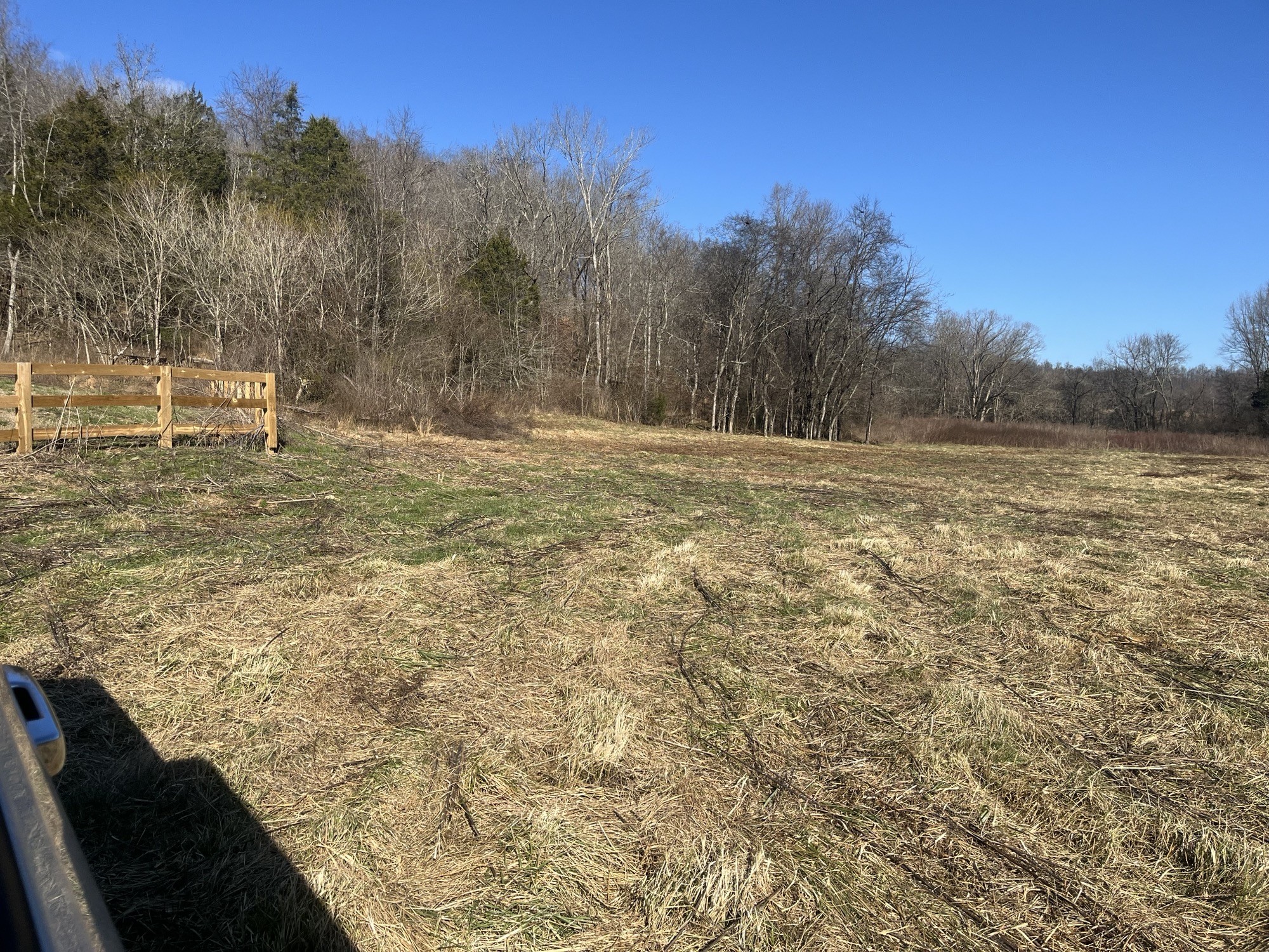 0 Cathcart Road Frankewing, TN 38459 - Photo 16 of 21 a view of a yard with an outdoor space