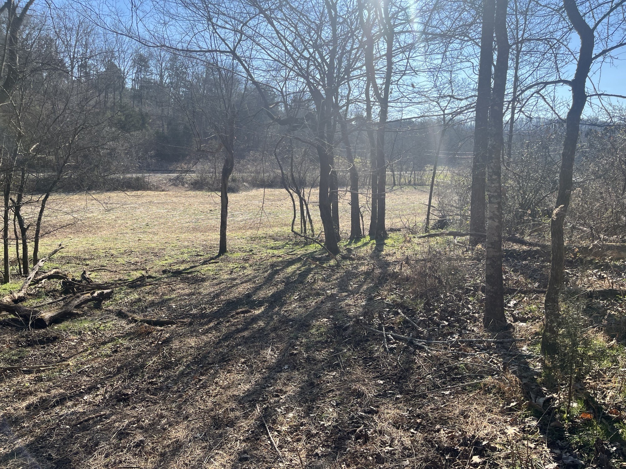 0 Cathcart Road Frankewing, TN 38459 - Photo 7 of 21 a view of a backyard of the house