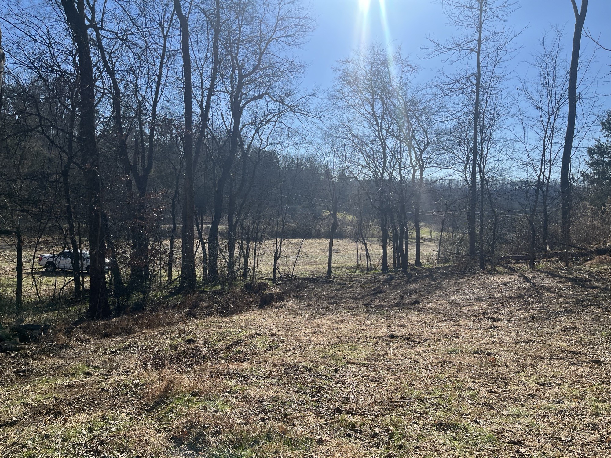 0 Cathcart Road Frankewing, TN 38459 - Photo 10 of 21 a backyard of a house with lots of green space