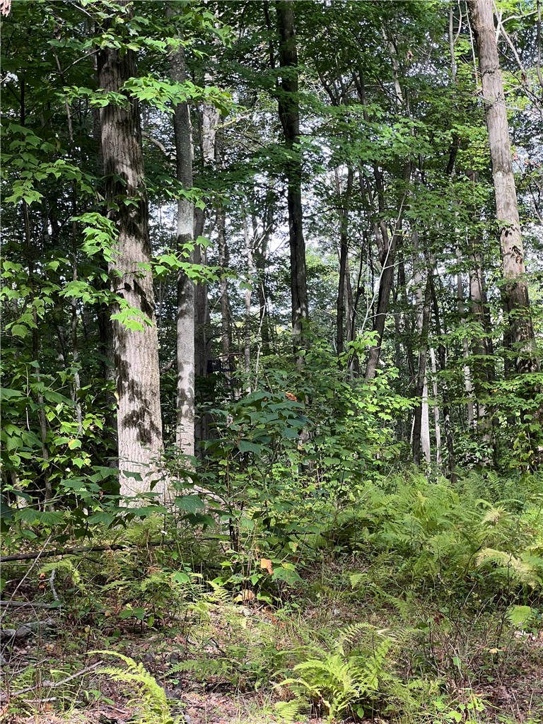 Dyke Road Corning, NY 14830 - Photo 12 of 49 Gallery Image 12