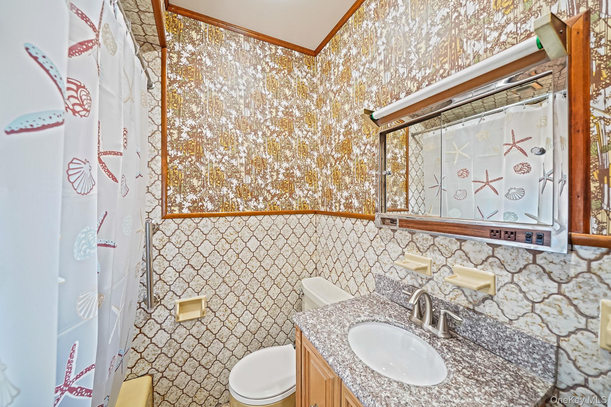 256-12 87th Road Floral Park, NY 11001 - Photo 23 of 33 a bathroom with a sink a toilet and shower curtain