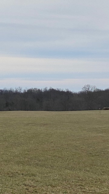 215-5 Peaceful Hollow Road Dry Ridge, KY 41035 - Photo 7 of 12