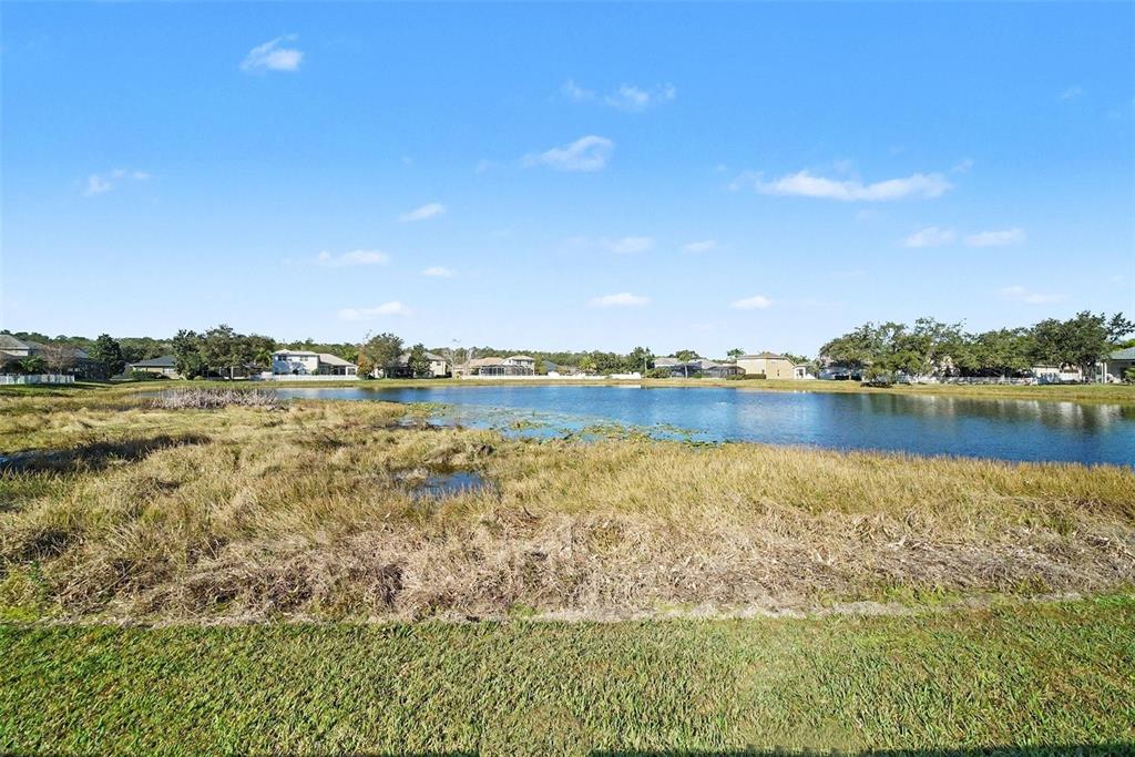 4809 Walnut Ridge Road Land O' Lakes, FL 34638 - Photo 30 of 34 a view of a lake with houses in the back