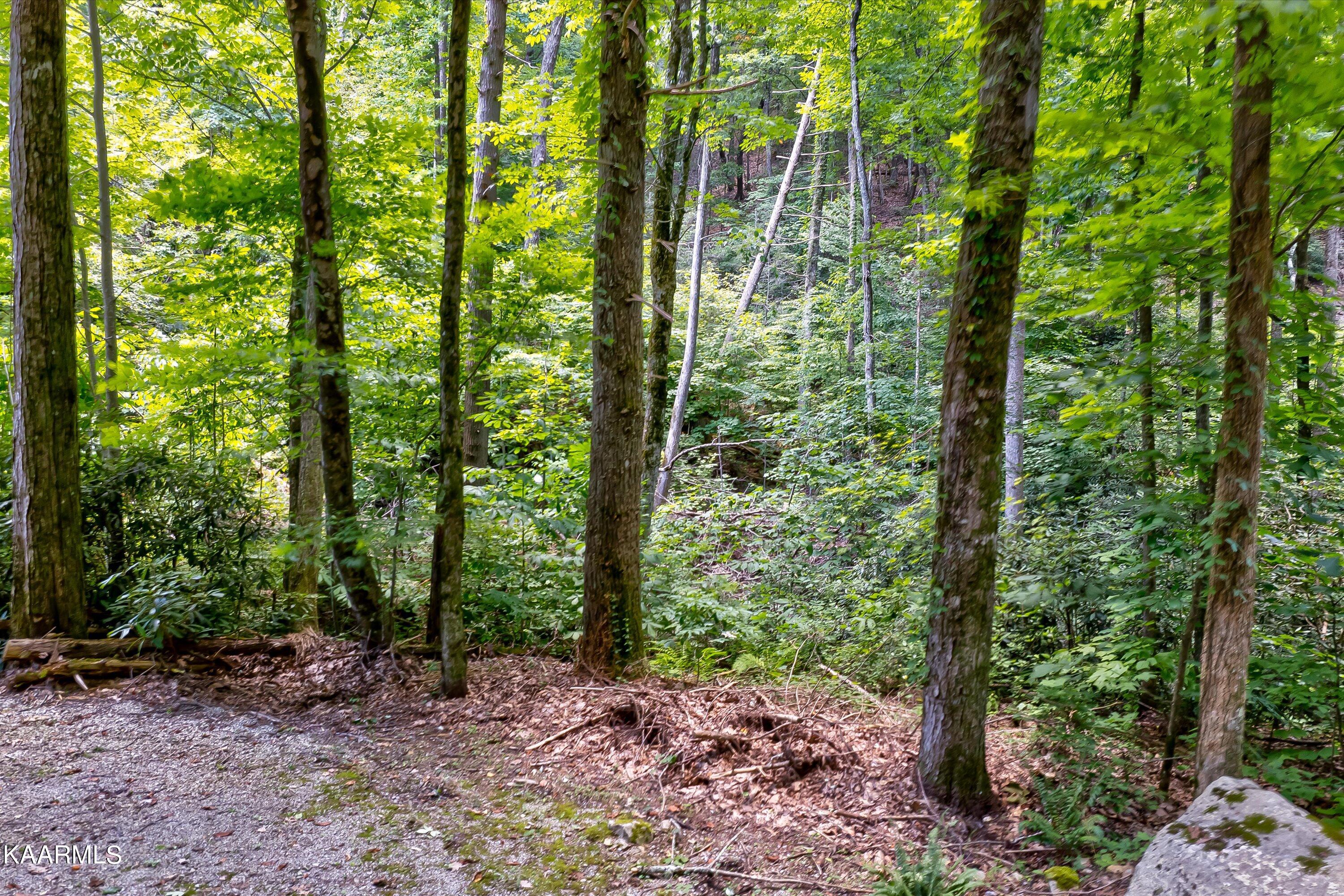 Reagan Springs Road Seymour, TN 37865 - Photo 7 of 8 32-Reagan Springs Rd-61
