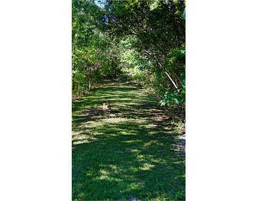 1260 Tootle Road Perkinston, MS 39573 - Photo 17 of 47 Additional Photo