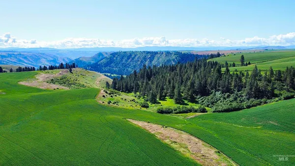 $734,000 | 1 Nezperce Id 83543, Nezperce, ID 83543