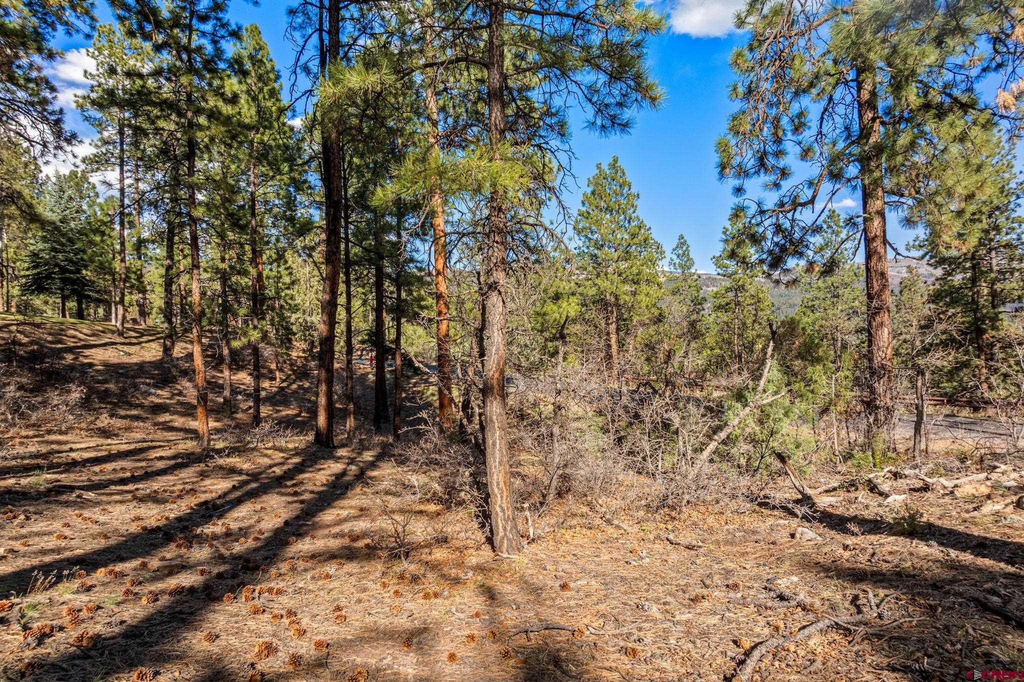 47 Ambush Canyon Durango, CO 81301 - Photo 15 of 18