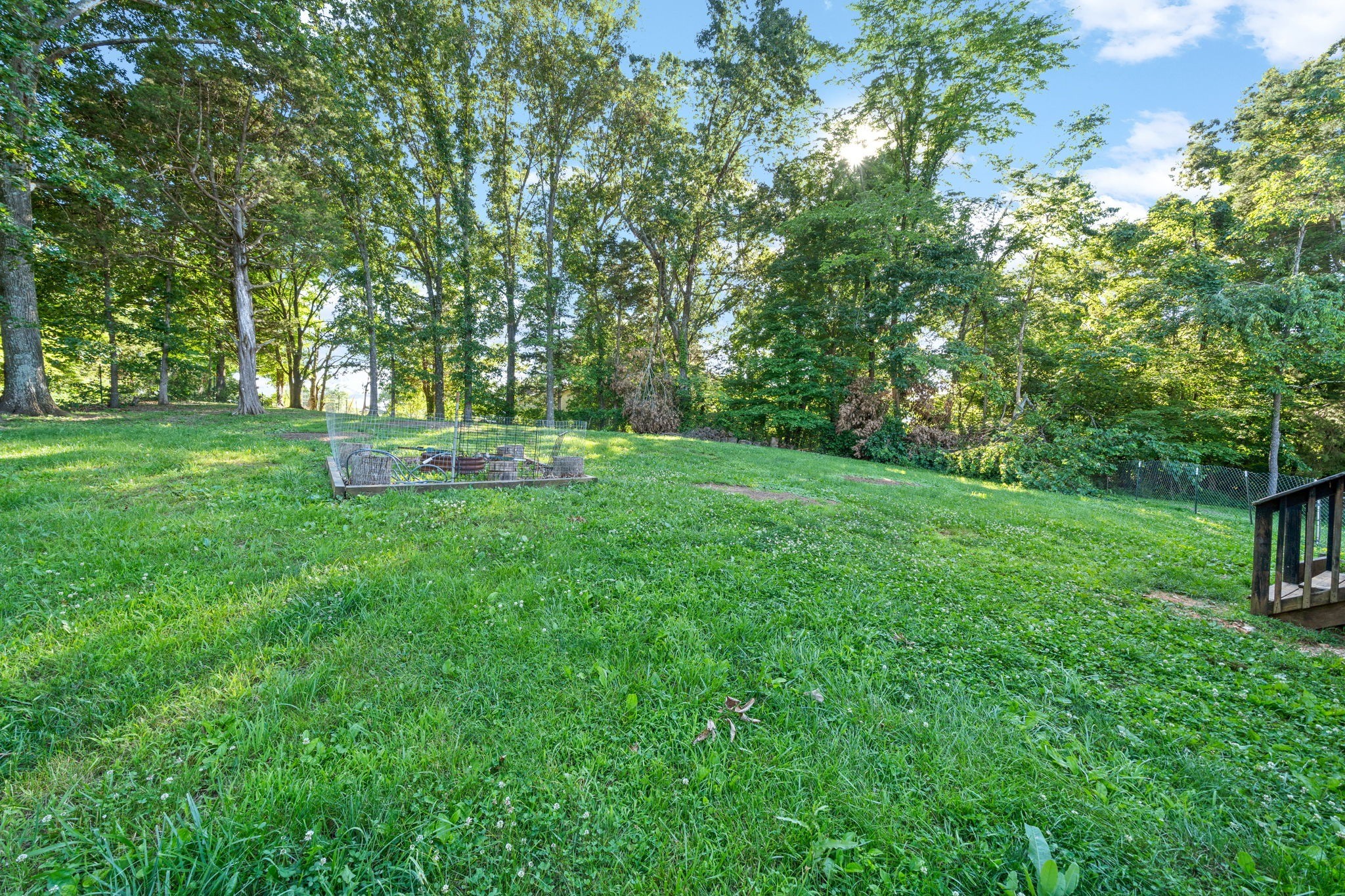 1148 York Meadows Road Clarksville, TN 37042 - Photo 34 of 35 a green field with lots of trees in it